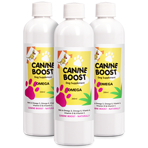 Canine Boost All Natural Multivitamin Dog Supplement